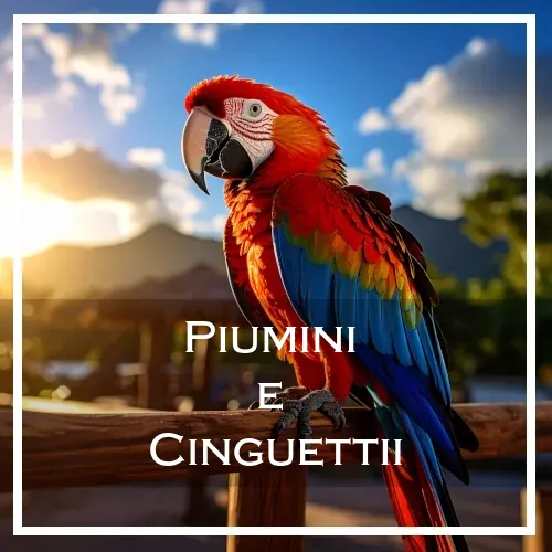 UCCELLI